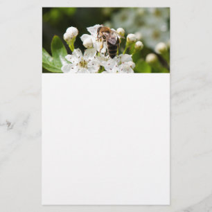 Bee collects pollen flyer