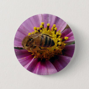 Bee Cosmo, Honey Bee and Cosmo Flower 6 Cm Round Badge