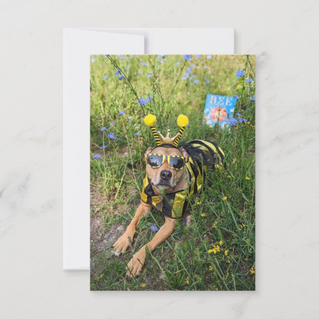 Bee costume book Funny Dog Photo Card (Front)