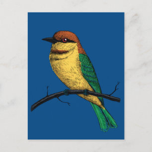 Bee eater postcard