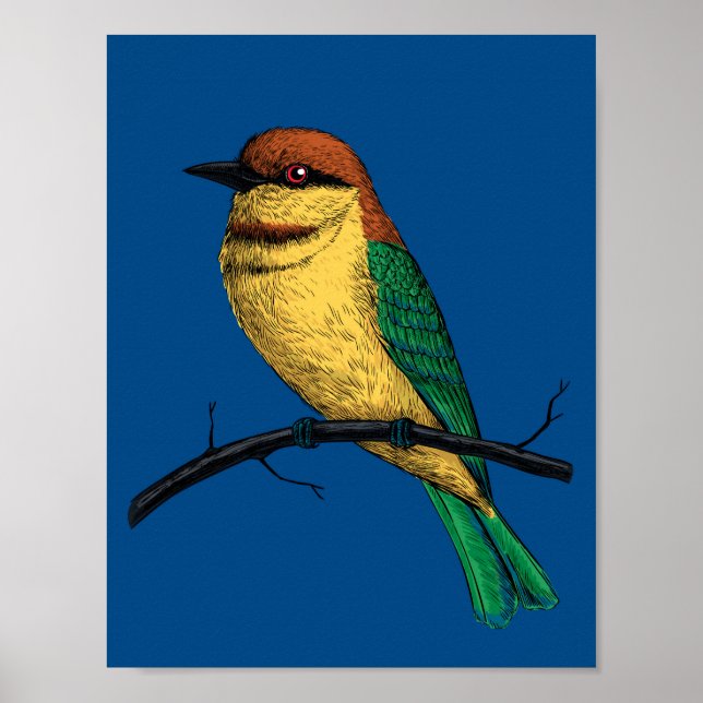 Bee eater poster (Front)