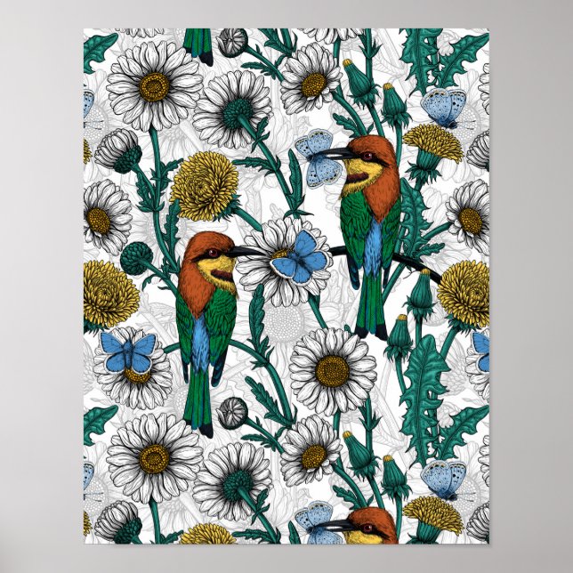 Bee-eaters, blue butterflies and daisies on white poster (Front)