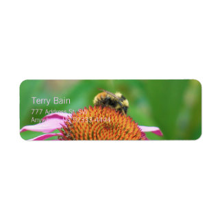 Bee Echinacea Return Address Label