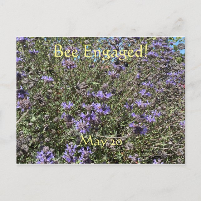 Bee Engaged: World Bee Day Postcard (Front)