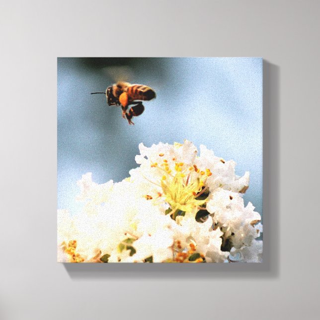 Bee Floral  Canvas Print (Front)