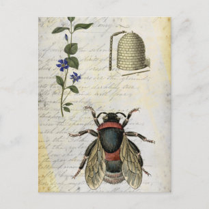 Bee Flower Hive Postcard
