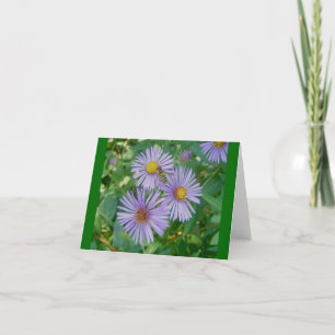 Bee Fly Purple Asters Note Card