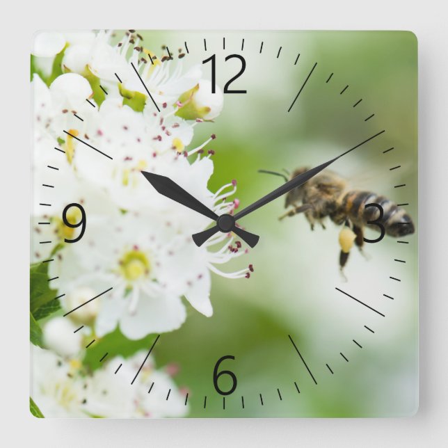 Bee flying to the spring flower square wall clock (Front)