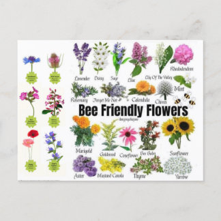 Bee-Friendly Flowers Postcard