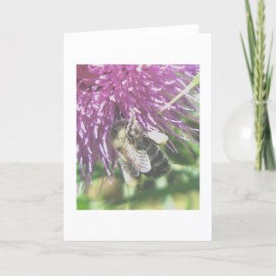 Bee Gathering Thistle Pollen Note Card