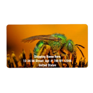 Bee Getting Sweet 1