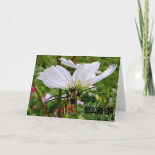 Bee Happy Greeting Card