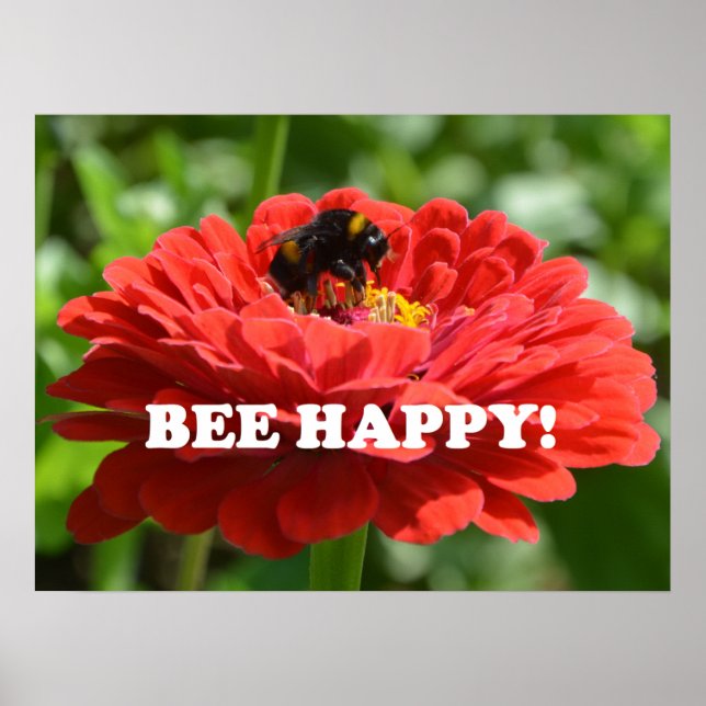Bee Happy Red Flower Poster (Front)