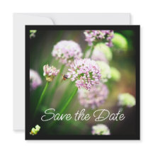 Bee Happy with Purple Diagonal Allium Flowers