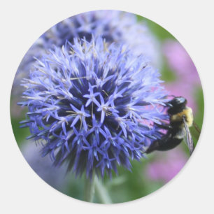 Bee-have stickers