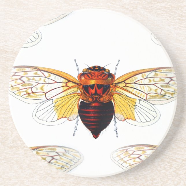 Bee hibiscusgarde art coaster (Front)