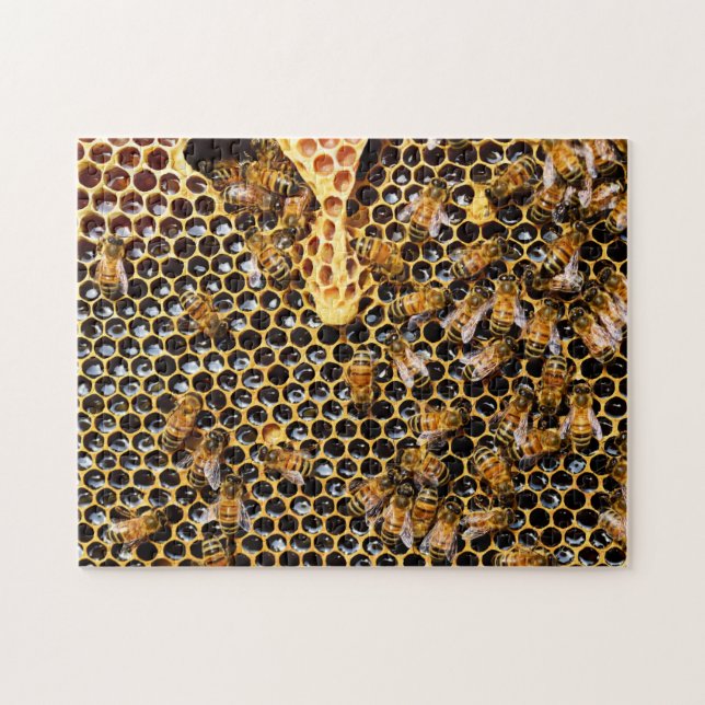 Bee Hive with Honeycomb Up Close Jigsaw Puzzle (Horizontal)