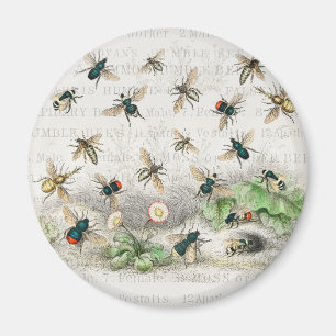 Bee Honey Worker Queen Bees Antique Magnet