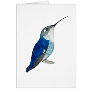 Bee Hummingbird All Occasions