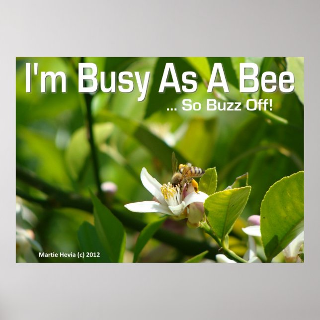 Bee - I'm Busy, So Buzz Off - Poster (Front)