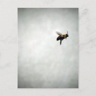 bee in flight postcard