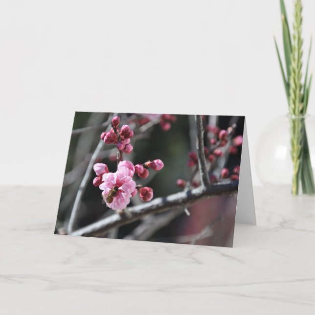 Bee in Flower - Greeting Card (Front)