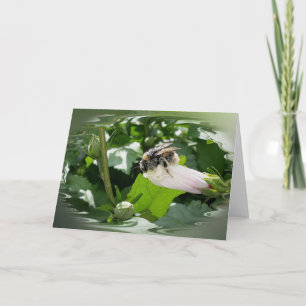 Bee in summer card