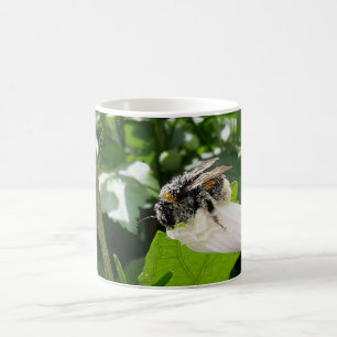 Bee in summer coffee mug