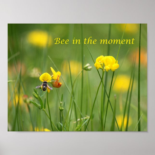 Bee in the moment poster (Front)