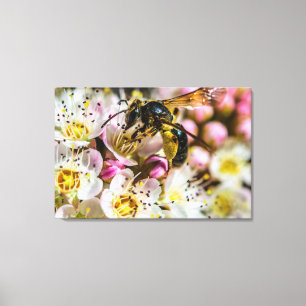 Bee In The Neighbourhood Canvas Print 36 x 24