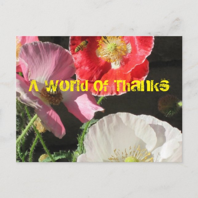 Bee In The Poppies Post Card (Front)