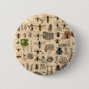 Bee Insect Bug Wasp Natural History Bees 6 Cm Round Badge