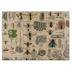 Bee Insect Bug Wasp Natural History Bees Cutting Board