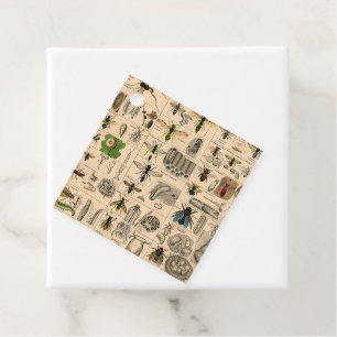 Bee Insect Bug Wasp Natural History Bees Favour Tags