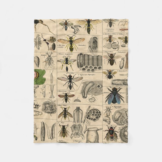 Bee Insect Bug Wasp Natural History Bees Fleece Blanket (Front)