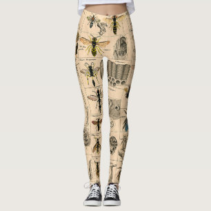Bee Insect Bug Wasp Natural History Bees Leggings