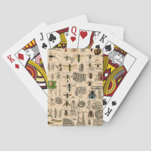 Bee Insect Bug Wasp Natural History Bees Playing Cards