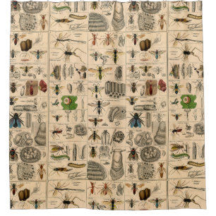 Bee Insect Bug Wasp Natural History Bees Shower Curtain