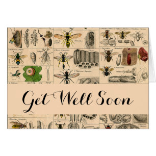 Bee Insect Bug Wasp Natural Nature Bees Painting