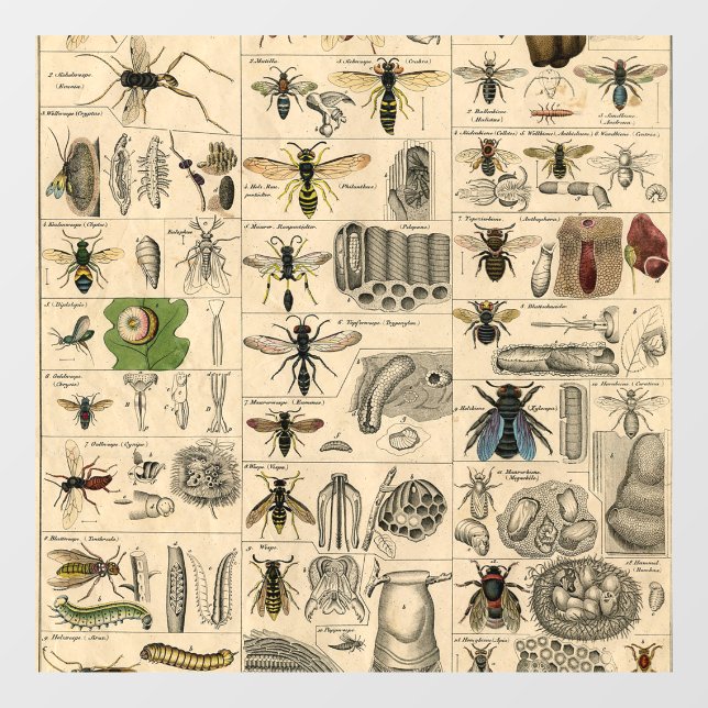 Bee Insect Bug Wasp Natural Nature Bees Painting (Sheet)