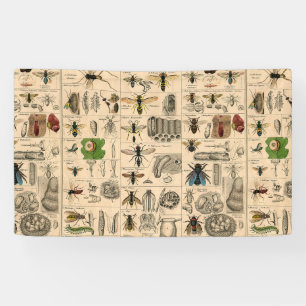 Bee Insect Bug Wasp Natural Nature Bees Painting Banner