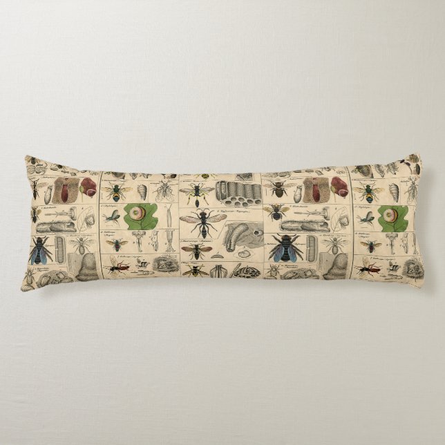 Bee Insect Bug Wasp Natural Nature Bees Painting Body Cushion (Front)