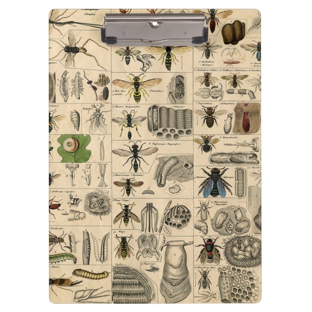 Bee Insect Bug Wasp Natural Nature Bees Painting Clipboard (Front)