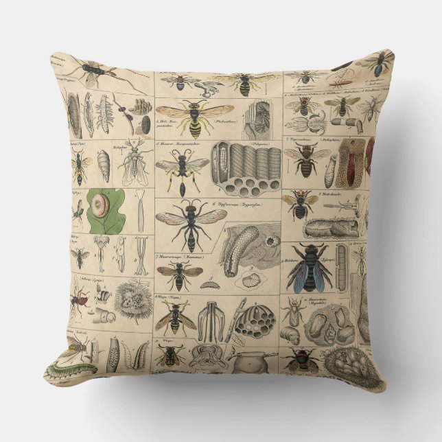 Bee Insect Bug Wasp Natural Nature Bees Painting Cushion (Front)