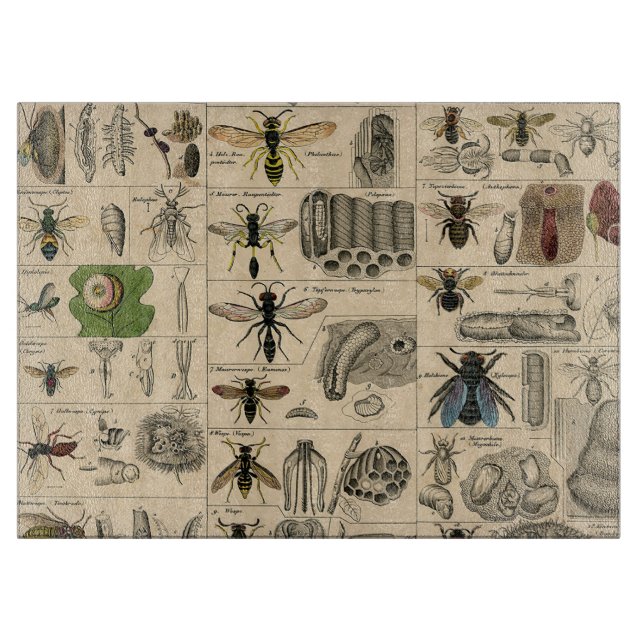 Bee Insect Bug Wasp Natural Nature Bees Painting Cutting Board (Front)