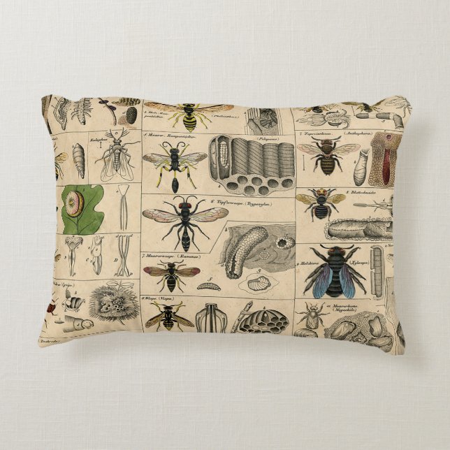 Bee Insect Bug Wasp Natural Nature Bees Painting Decorative Cushion (Back)