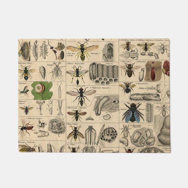 Bee Insect Bug Wasp Natural Nature Bees Painting Doormat (Front)