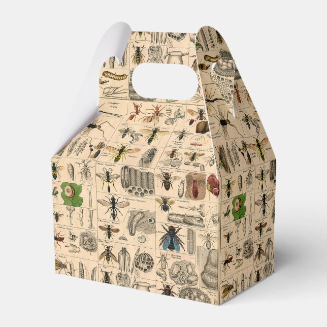 Bee Insect Bug Wasp Natural Nature Bees Painting Favour Box (Front Side)