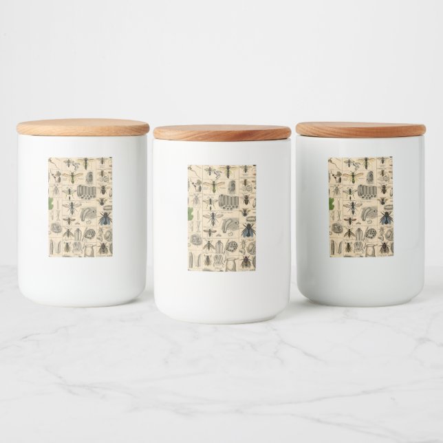 Bee Insect Bug Wasp Natural Nature Bees Painting Food Label (Bottles)