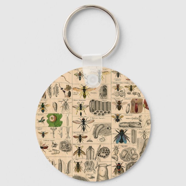 Bee Insect Bug Wasp Natural Nature Bees Painting Key Ring (Front)